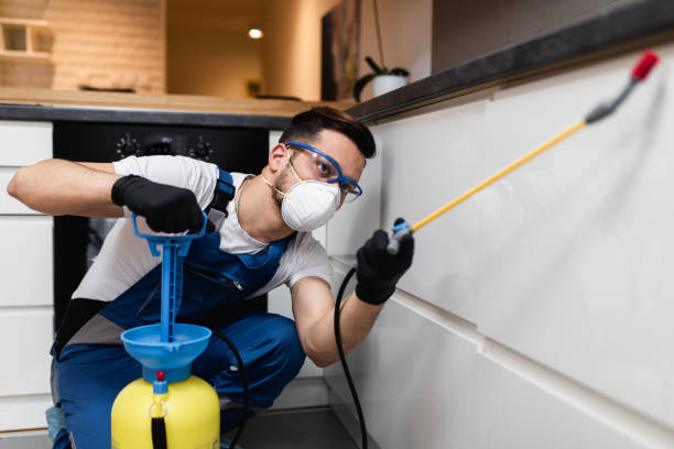Best Emergency Pest Control  in Ganado, TX