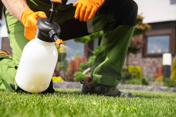 Wasp Removal Services in Ganado, TX
