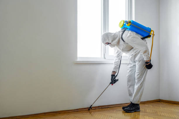 Professional Pest Control in Ganado, TX