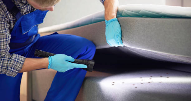 Best Pest Control Near Me  in Ganado, TX