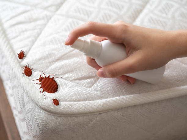 Best Pest Prevention Services  in Ganado, TX