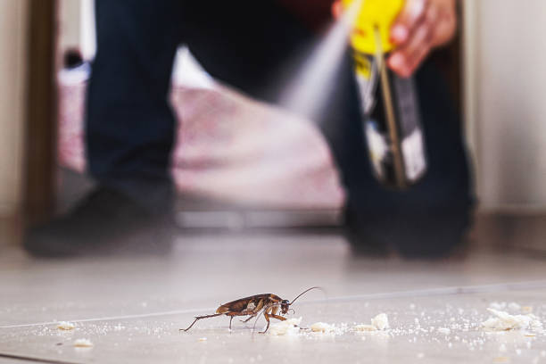 Best Rodent Control Near Me  in Ganado, TX