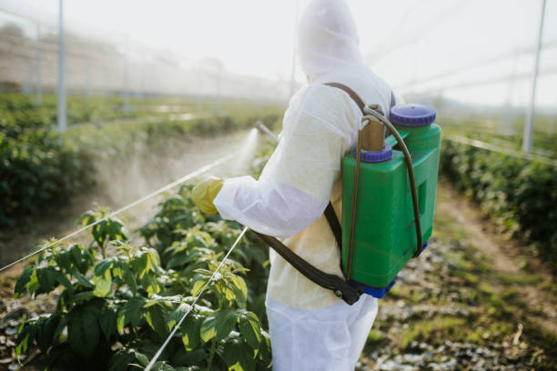 Best Affordable Pest Control Services  in Ganado, TX